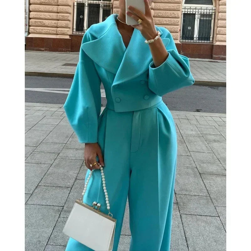 Women 2pcs Clothes Set Solid Color Polo Collar Long Sleeve Blazer